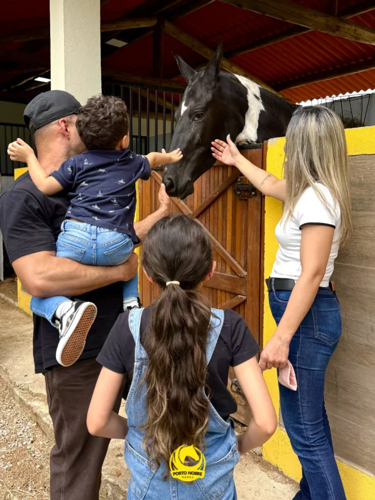 O primeiro contato com o cavalo