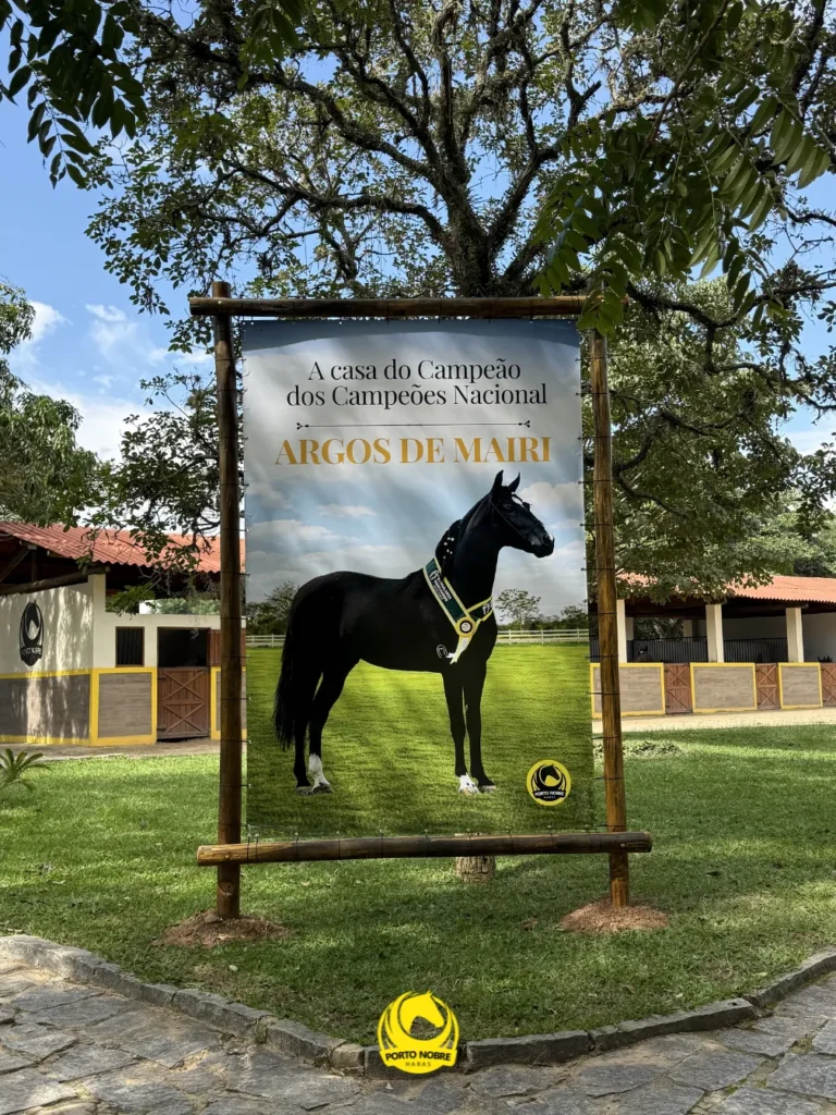 Bem-vindo ao Porto Nobre