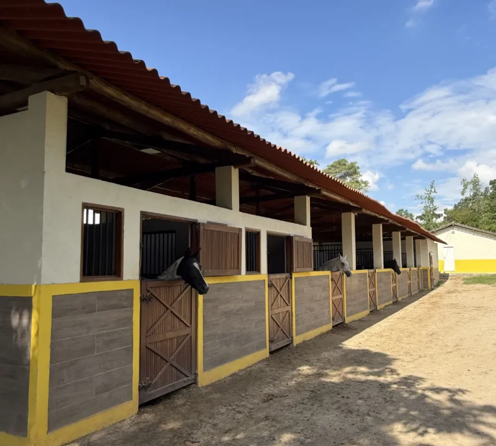 Estrutura de baias do Haras Porto Nobre