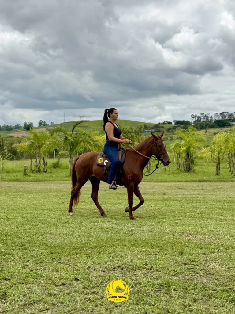 Equitação em meio à natureza