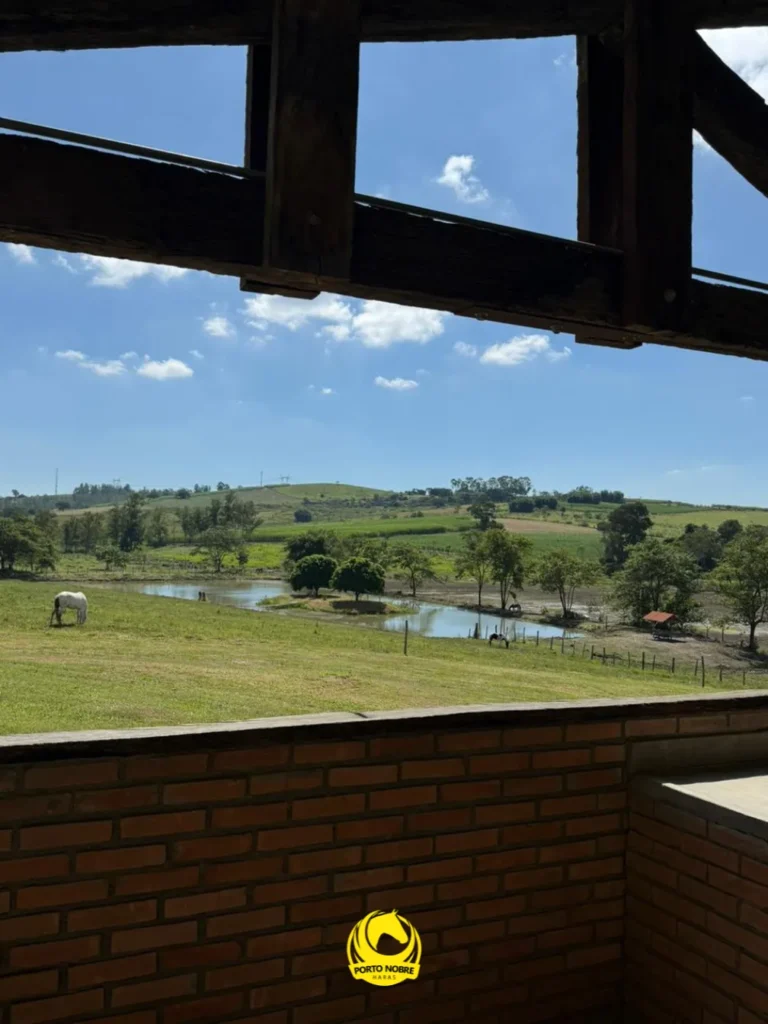 Uma vista para desacelerar