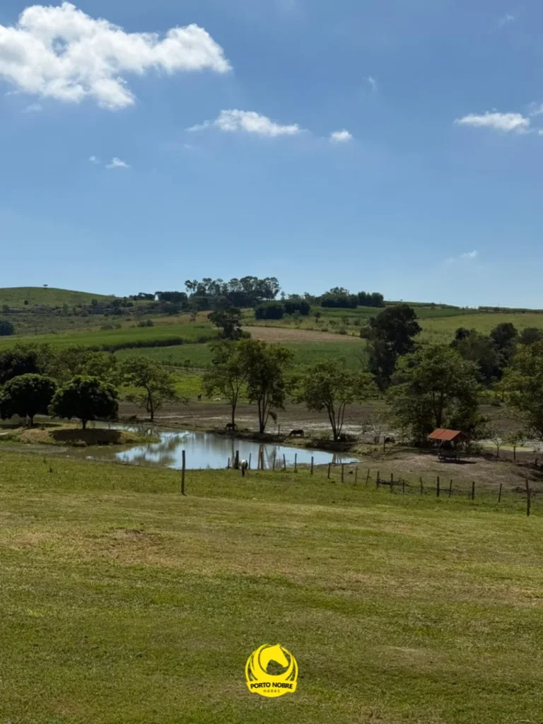 Paisagem verde e lago no haras