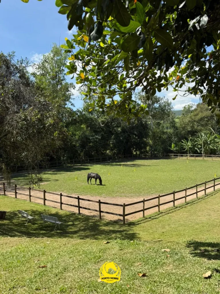 Estrutura do haras