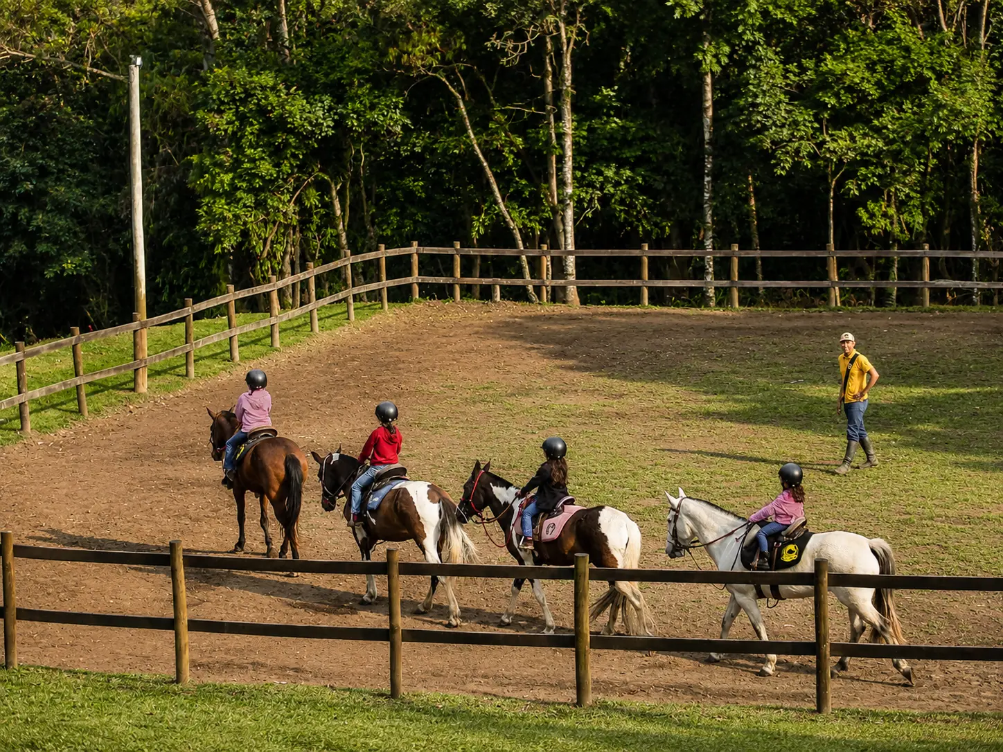 Haras Porto Nobre
