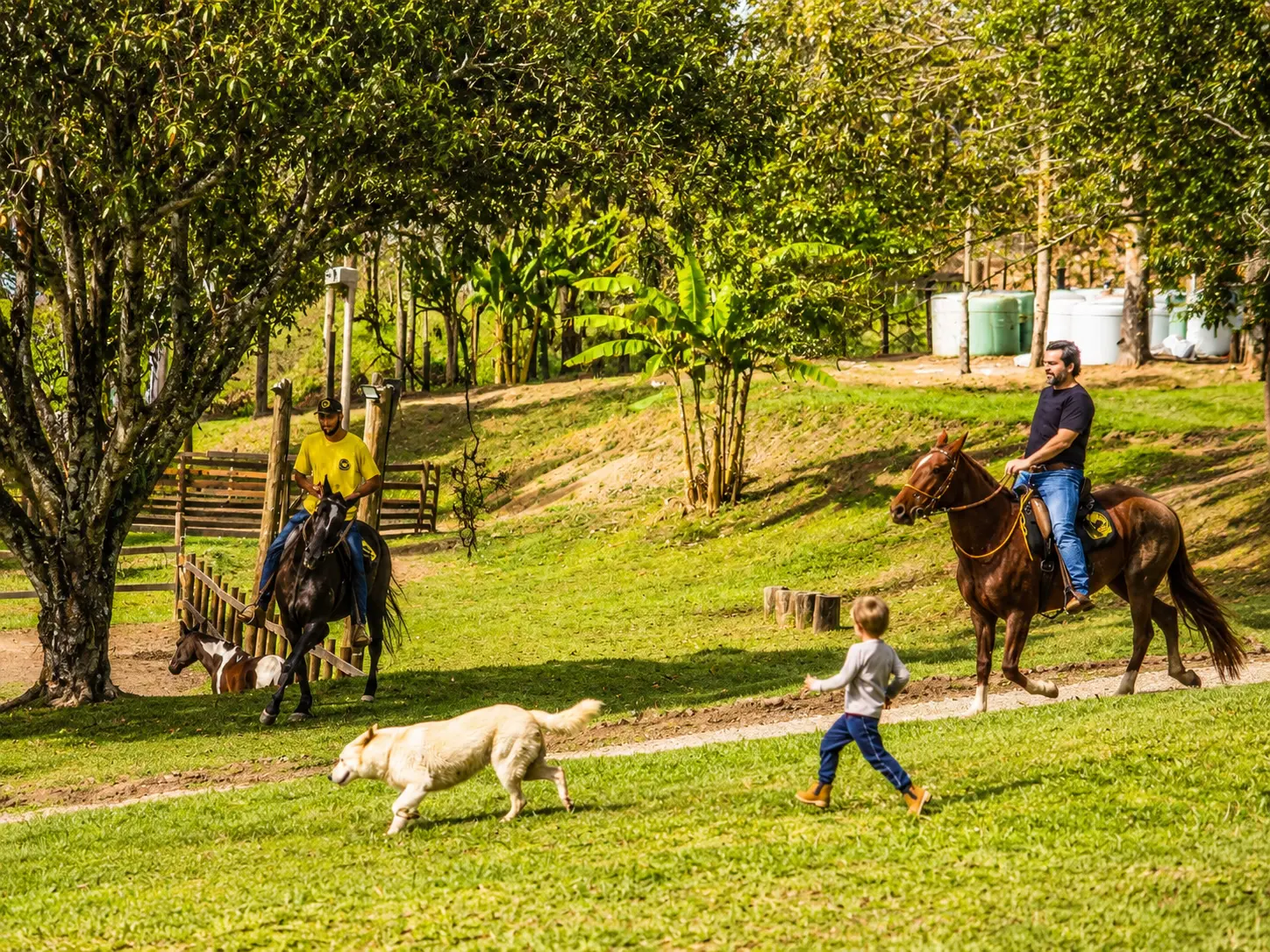 Cavalgue com sua família
