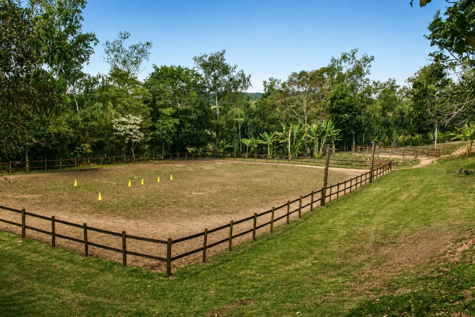 Haras Porto Nobre