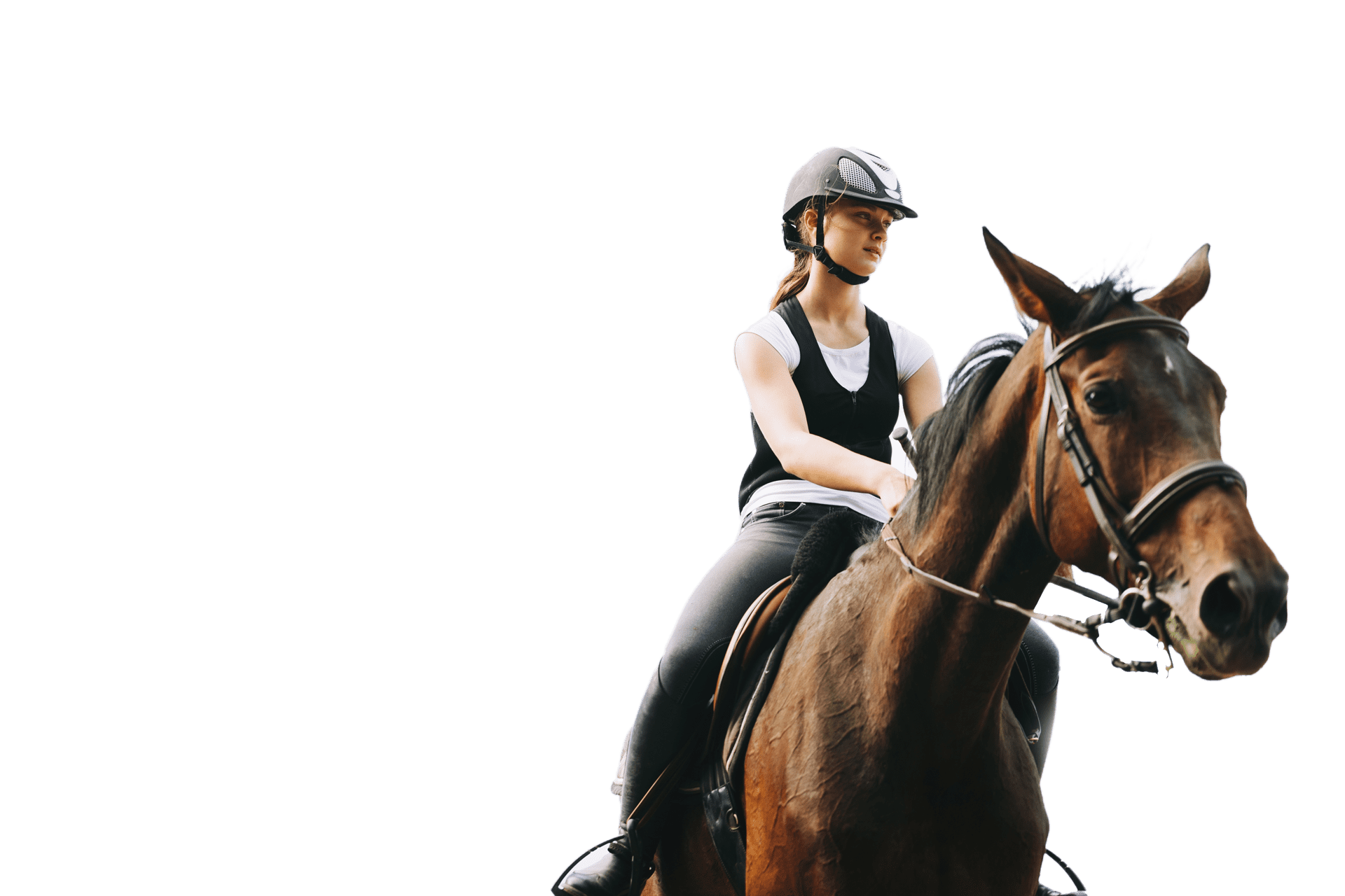 A prática da equitação e a conexão com o cavalo